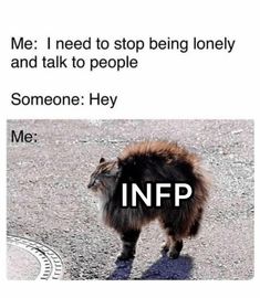 Infp Funny Humor, Infp 9w1 Aesthetic, Infp Characters Fictional, Infp Core Aesthetic, Infp Style, Infp X Infj, Infp Facts, Infp Vibes, Infp Core