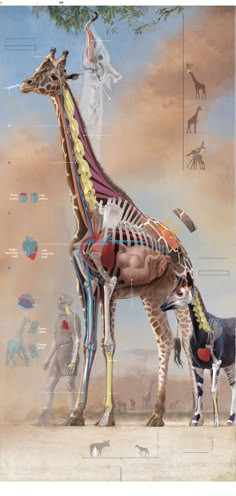 an image of a giraffe with its skeleton exposed and other animals surrounding it