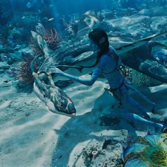 an underwater scene with two people and sea animals