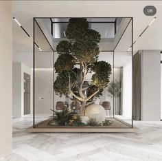 a glass display case with a tree inside