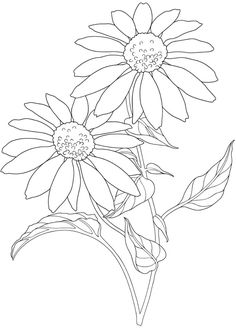 a drawing of some flowers on a white background with the words'flower d'in black and white