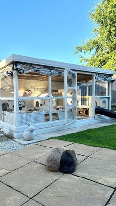 a small white building with lots of windows