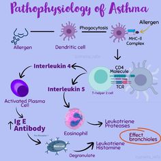 a diagram showing the pathway to different types of asthma