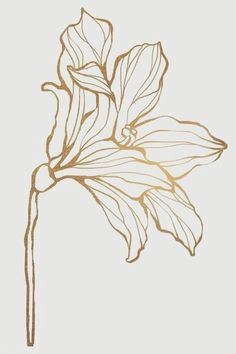 Flower Outline, Golden Design, Rose Drawing, Soyut Sanat Tabloları, Golden Flower, Gold Wall, Golden Leaves, Gold Wallpaper