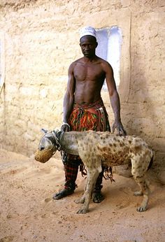 a man standing next to a spotted hyena