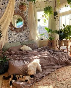 a dog laying on top of a bed in a bedroom next to potted plants