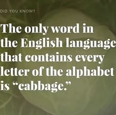 the only word in the english language that contains every letter of the alphabet is cabbage