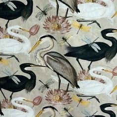 an image of birds and flowers on a beige background with water lilies in the foreground