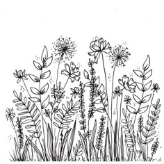 black and white drawing of flowers in the grass