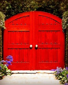 an open red door surrounded by flowers and greenery