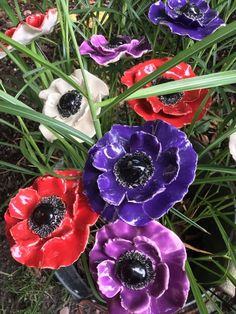 an arrangement of colorful flowers sitting in the grass