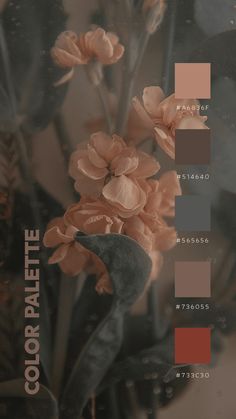 the color palette is brown, orange, and pink with some flowers in front of it