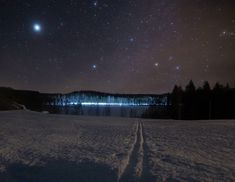 the night sky is filled with stars and bright lights, as well as some trees