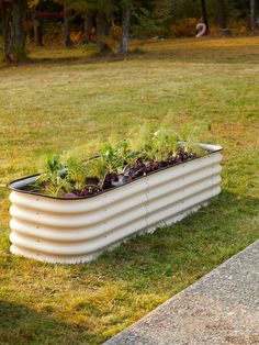 a rectangular planter filled with plants sitting on top of a grass covered field next to a sidewalk