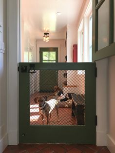 two dogs are in their kennel at the door