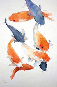 four orange and black koi fish swimming in watercolor on white paper with blue accents