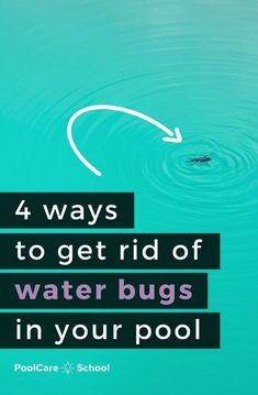 the words 4 ways to get rid of water bugs in your pool