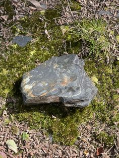 a rock sitting on top of a lush green field covered in dirt and mossy grass