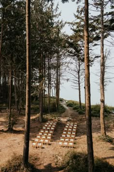 rows of chairs set up in the woods for an outdoor wedding ceremony with pine trees