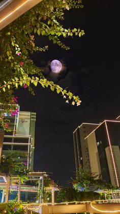 a full moon is seen in the night sky above some tall buildings and greenery