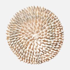 a white circular object made out of wood sticks and other things on the wall,