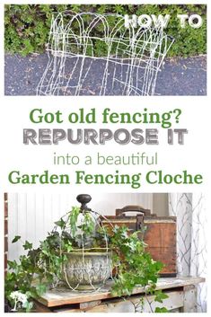 an old fence with plants growing out of it and the words, got old fencing repurpose it into a beautiful garden fencing cloche