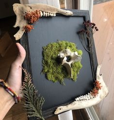 a person holding up a frame with fake animal skulls and moss in it's center