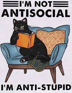 a black cat sitting on top of a blue chair reading a book that says i'm not antisocial