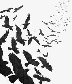 a flock of birds flying in the sky over a white background with black ink on paper