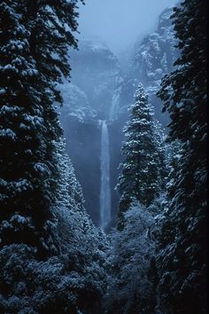 a waterfall surrounded by snow covered trees