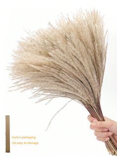 a person holding some dried grass in their hand