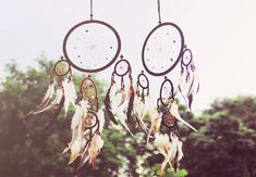 there are two dream catchers hanging from the tree branch with trees in the background