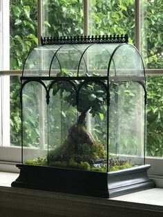 a potted plant sitting on top of a window sill