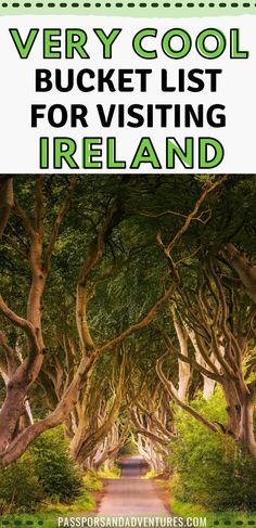 a road lined with trees and the words very cool bucket list for visiting ireland