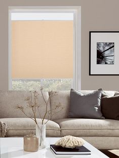 a living room with a couch, coffee table and window blinds in shades of beige