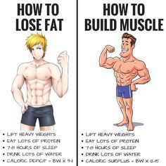 HOW TO LOSE FAT AND BUILD MUSCLE! Whether you're trying to lose fat, build muscle, get toned or increase strength levels, your nutrition will account for the vast majority of your results. Losing fat will require you burn more calories than you consume ea #BuildMuscleBoards Workout Physique, Bulking Diet, Deadlift Squat, Beachbody Workouts, Health Workout, Losing Fat, Trening Fitness, Get Toned