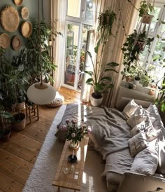 a living room filled with lots of plants next to a couch and coffee table on top of a wooden floor