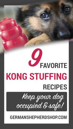 a dog laying on top of a table next to a sign that says 9 favorite kong stuffing recipes keep your dog occupied & safe