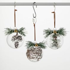 three glass ornaments hanging from a metal rod with pine cones and evergreen branches in them