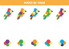 colorful parrots are arranged in the shape of different shapes and sizes, including circles