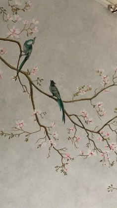 two birds are sitting on a branch with pink flowers in the foreground and a white wall behind them