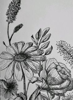 a black and white drawing of some flowers