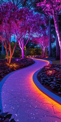 a pathway lit up with colorful lights in the park at night, surrounded by trees and shrubs