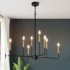 a black chandelier with eight candles hanging from it's centerpiece in a dining room