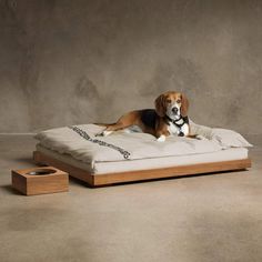 a beagle dog laying on top of a bed next to a wooden box and tissue dispenser