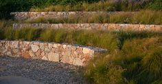 there is a stone wall with grass growing on it and some bushes in the background