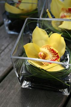 three glass vases filled with yellow flowers on top of a wooden table