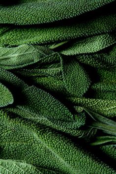 green leaves are piled up together in this close - up photo, which shows the top part of the leaf