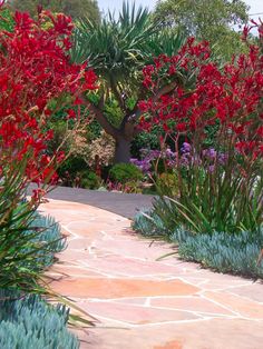 a garden with red flowers and green plants in the foreground, surrounded by stone walkway