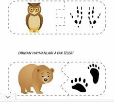 an owl, bear and bear footprints are shown